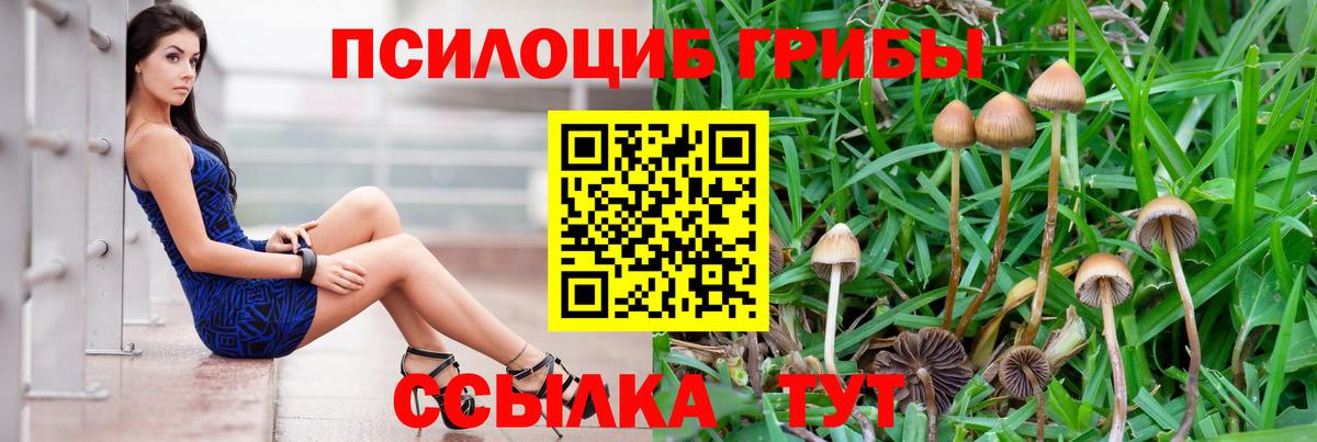 Галлюциногенные грибы ЛСД Свободный