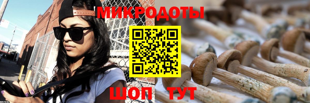 как найти наркотики  Вход с VPN  Свободный  Галлюциногенные грибы Psilocybine cubensis 